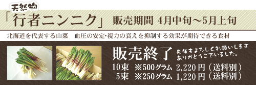 北海道の幻の山菜